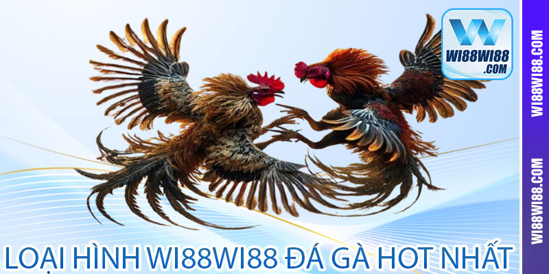 Loại hình Wi88wi88 đá gà hot nhất 2024